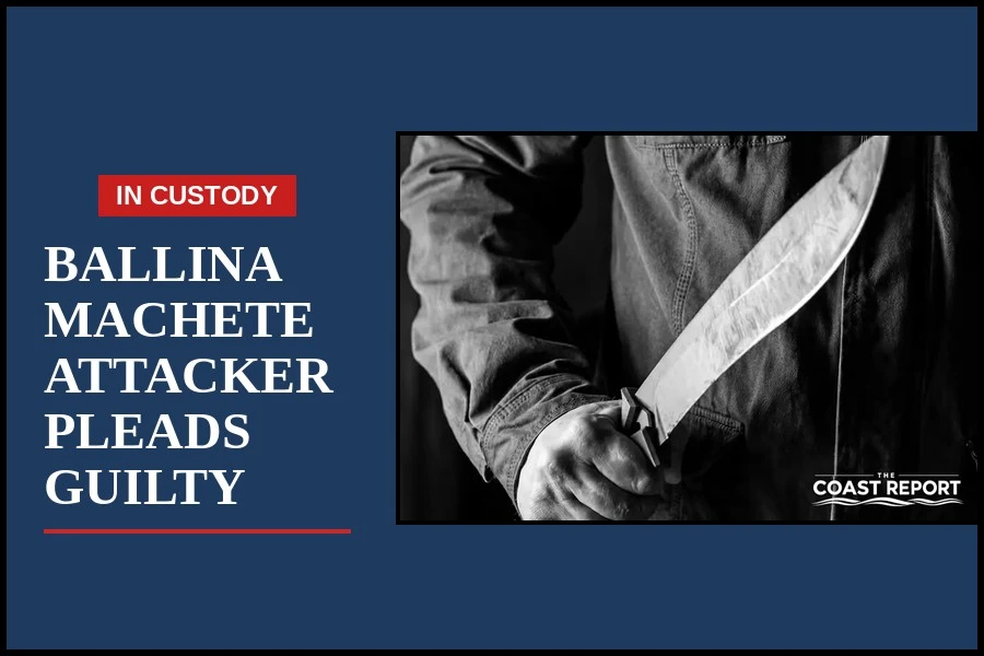 Machete pictured after Akeiam Dennis Cook pleaded guilty over the Ballina attack